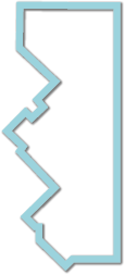 Polygon